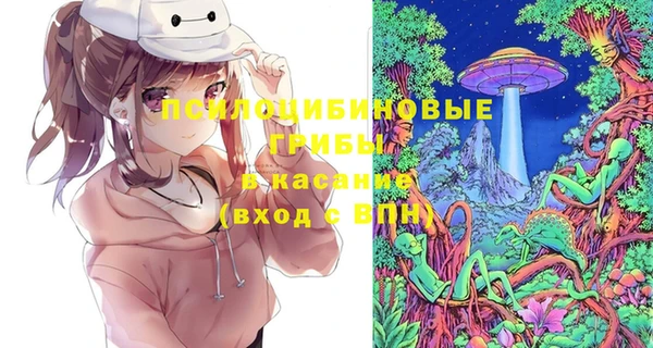 винт Армянск